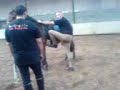 leçon pour débutant03