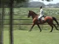 Topgun - Wamel 15072006 Topgun - Wamel 15072006