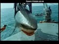 Tuna fish advert