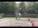 NEW! Cantering on Mickey