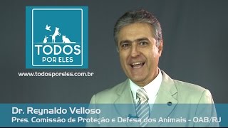 TODOS POR ELES, uma rede de AMOR em prol dos animais!