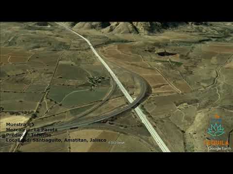 Muestra 5 - La Parota, El Infierno, Santiaguito, Amatitan, Jalisco