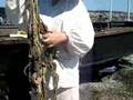 Natural hemp shrouds and deadeyes on the Schooner Merganser