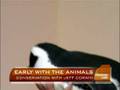 Jeff Corwin On Conservation