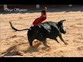 Diego siquieres