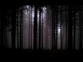 Video screenshot