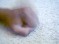 messed up singing hand puppets
