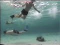 Dive 1