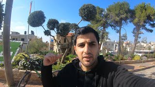 بلدة بيتونيا غرب مدينة رام الله بلدة بيتونيا غرب مدينة رام الله