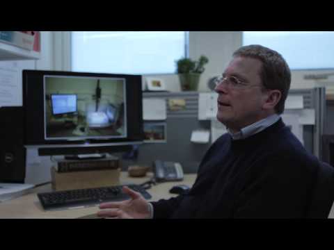 andflies - A new study by Dr Frank Hirth from King's College London's Institute of Psychiatry reveals the deep similarities in how the brain regulates behaviour in arth...
