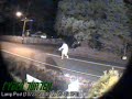 Caught on Video:  Another Stolen Obama Sign