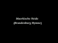 Märkische Heide