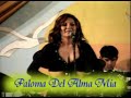 Paloma del alma mia - Marina yafac