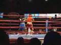 亀田和毅メキシコ試合　負け