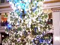 Chritmas Tree Chritmas Tree