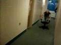 College Hall Luge