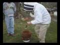 Essex County Beekeepers' Association - Installing a Package