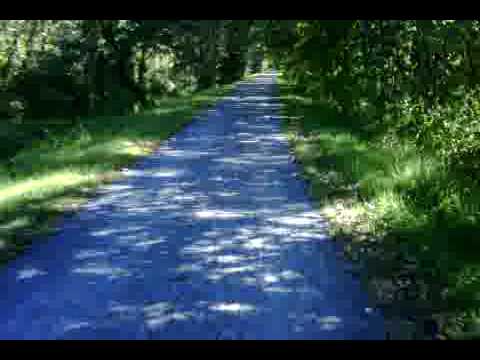 YouTube Preview Image