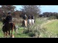 Click to View : Reiten in Wisch