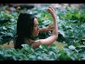 dana nizar اطير الى حبيبتي  دانا نزار شوقي