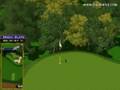 Golden Tee Great Shot on Woodland Farm!