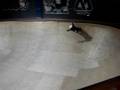 cory's bowl run at skatelab may 2008.mpg