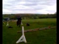 mary video jumping.wmv