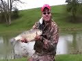 Improve your chub fishing with Matt Hayes