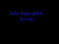 Saha dogru giden kervan Saha dogru giden kervan