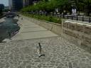 Cheonggyecheon