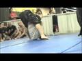 videos de ARM BAR