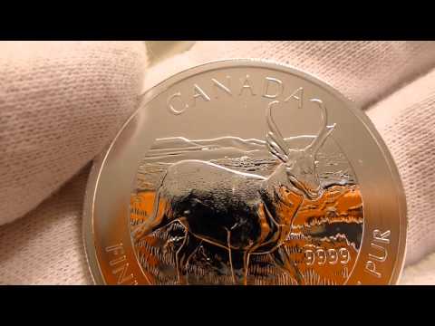 2013 Royal Canadian Mint Wildlife Series Pronghorn Antelope 1 Ounce Silver Coin Review