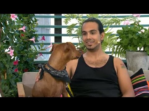 Var rädd för hundar - driver nu en populär hundpodcast - Nyhetsmorgon (TV4)