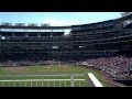 Washington DC Nationals Park Falco Bruno ...