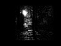North Pole Symphony - Pitch black-white forest