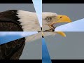 Notis Sfakianakis - O Aetos Notis Sfakianakis - O Aetos