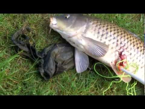 Funny Fishing Bloopers!