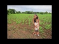 mesa distance learning program in nicaragua