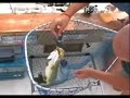 G�dda i v�nern