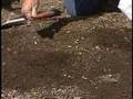 Jim Zamzows Gardening Tip #4