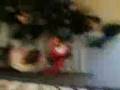 videos de OCCUPAZIONE MARCONI 3