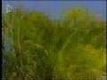 Shipwrecked 2008 The Third Island Episode 9 Part 1