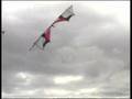 revolution-like kite - Kamikaze 4 lines