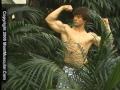 Miami-bodybuilding-m
