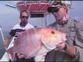 Texas Red Snapper Fishing