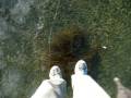 Walking over Frozend Lake