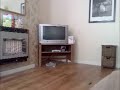 Real Demon Ghost Caught On Tape Poltergeist Activity 2011