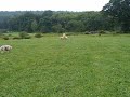 Paige Herding 2 Paige Herding 2