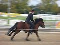 Gea B drafbaan Alkmaar, mundilfari3