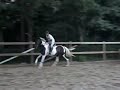 laceyjumping818